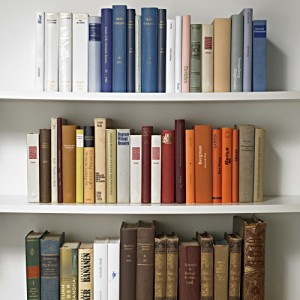 library-books-shelves-school-reading-e1327635644188